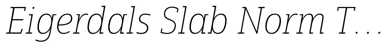Eigerdals Slab Norm Thin Italic